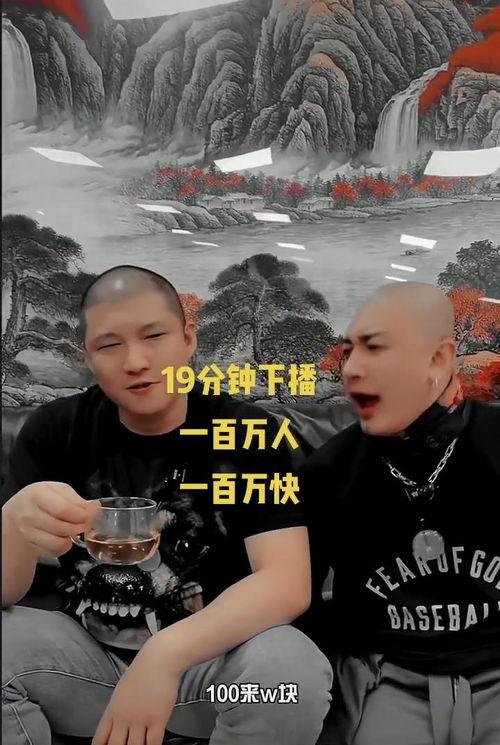 辛巴讽刺爆料者视频,真相与谣言的较量  第2张